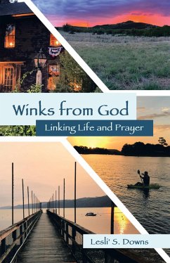 Cover Winks from God (eBook, ePUB)