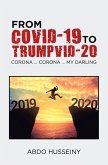 From Covid-19 to Trumpvid-20 (eBook, ePUB)