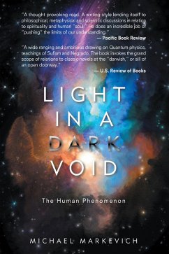 Light in a Dark Void (eBook, ePUB) Light in a Dark Void (eBook, ePUB)
