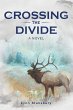 Crossing the Divide (eBook, ePUB) - Bild 1