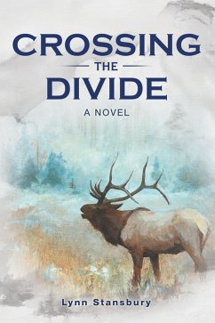 Crossing the Divide (eBook, ePUB)