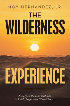 Cover The Wilderness Experience (eBook, ePUB)