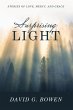 Surprising Light (eBook, ePUB) - Bild 1