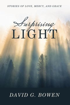 Surprising Light (eBook, ePUB) - Bowen, David G.