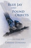 Blue Jay and Found Objects (eBook, ePUB)