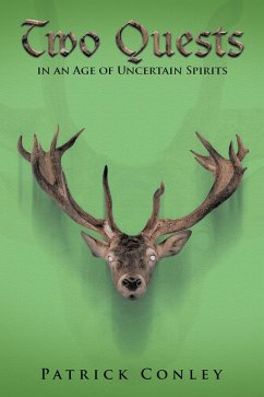 Two Quests in an Age of Uncertain Spirits (eBook, ePUB)