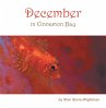 December in Cinnamon Bay (eBook, ePUB) - Bild 1