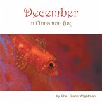 December in Cinnamon Bay (eBook, ePUB)