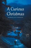 A Curious Christmas (eBook, ePUB)