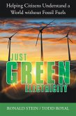 Just Green Electricity (eBook, ePUB)