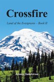 Crossfire (eBook, ePUB)