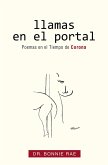 Llamas En El Portal (eBook, ePUB)
