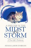 A Shelter in the Midst of a Storm (eBook, ePUB)