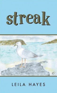 Cover Streak (eBook, ePUB)