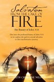 Salvation from the Lake of Fire (eBook, ePUB)