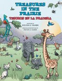 Treasures in the Prairie (eBook, ePUB)