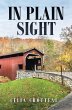 In Plain Sight (eBook, ePUB) - Bild 1