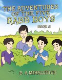 The Adventures of the Five Rabb Boys (eBook, ePUB)