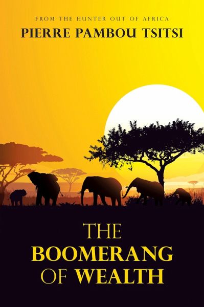 The Boomerang of Wealth (eBook, ePUB)
