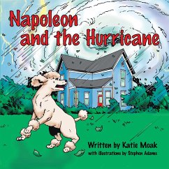 Napoleon and the Hurricane (eBook, ePUB)