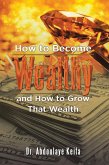 How to Become Wealthy and How to Grow That Wealth (eBook, ePUB)