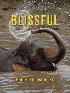 Cover Blissful (eBook, ePUB)