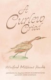 A Curlew Cried (eBook, ePUB)