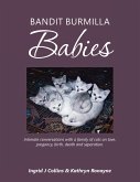 Bandit Burmilla Babies (eBook, ePUB)