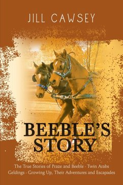 Beeble's Story (eBook, ePUB) - Cawsey, Jill