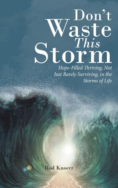 Don't Waste This Storm (eBook, ePUB) - Knoerr, Rod