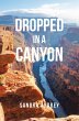 Dropped in a Canyon (eBook, ePUB) - Bild 1