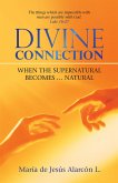 Divine Connection (eBook, ePUB)