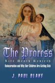 The Process (eBook, ePUB) The Process (eBook, ePUB)