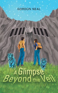 Cover A Glimpse Beyond the Veil (eBook, ePUB)