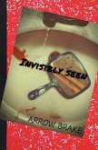 Invisibly Seen (eBook, ePUB)