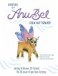Adventures with Anubel (eBook, ePUB) - Bild 1