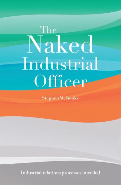 The Naked Industrial Officer (eBook, ePUB)