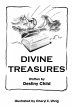 Divine Treasures (eBook, ePUB) - Bild 1