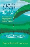 At the Drop of a Miracle (eBook, ePUB)