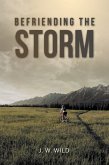 Befriending the Storm (eBook, ePUB)