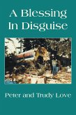 A Blessing in Disguise (eBook, ePUB)