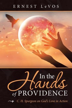 In the Hands of Providence (eBook, ePUB) In the Hands of Providence (eBook, ePUB)