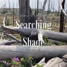 Searching for Shade (eBook, ePUB) - Bild 1