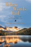 When Words Fail (eBook, ePUB)