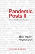 Pandemic Posts Ii (eBook, ePUB) - Bild 1