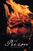 Prism (eBook, ePUB)