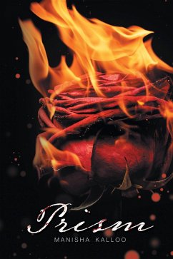 Cover Prism (eBook, ePUB)