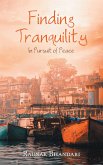Finding Tranquility (eBook, ePUB)