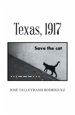 Cover Texas, 1917 (eBook, ePUB)