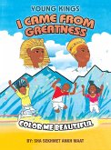 I Came from Greatness (eBook, ePUB)